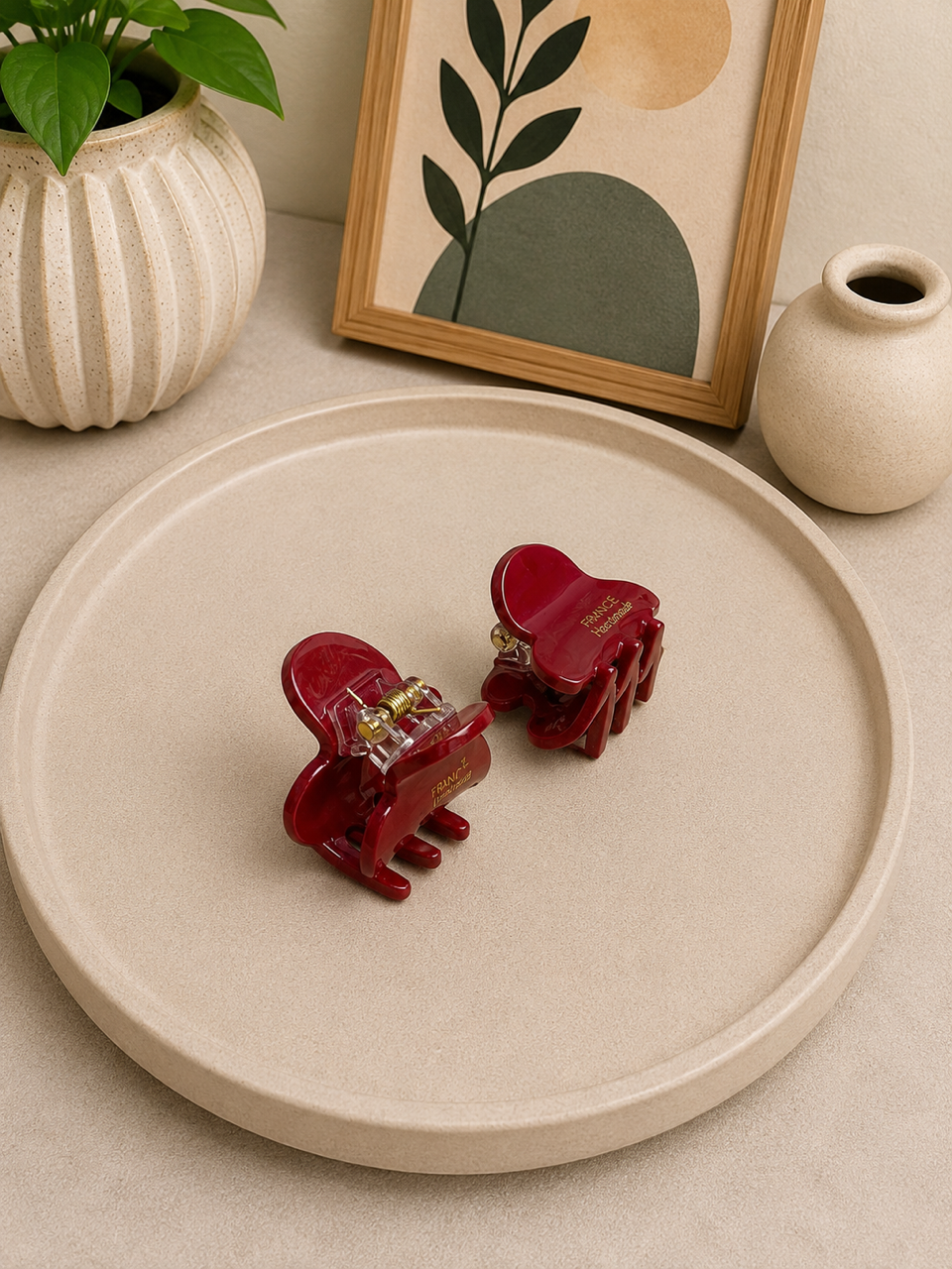 Ruby Mini Hair Claw Set