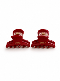 Scarlet Mini Hair Claw Set