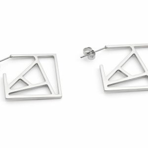 Avenia Silver Earrings