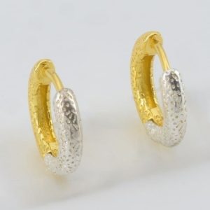 Cleo Duo-Tone Hoop Earrings