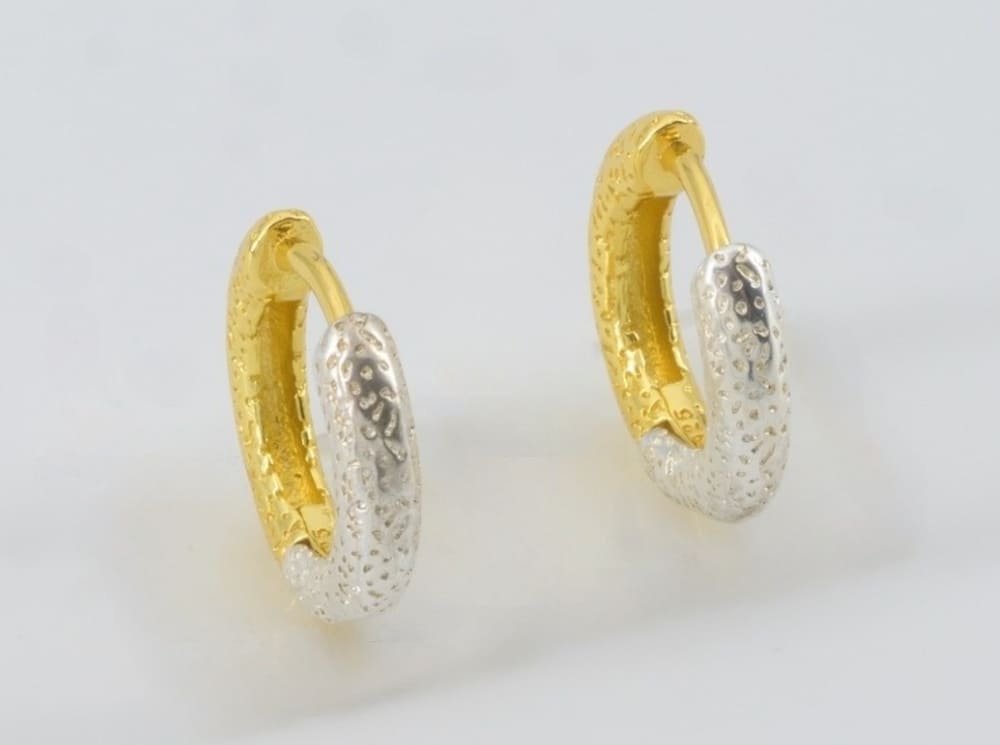 Cleo Duo-Tone Hoop Earrings