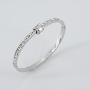 Celina Cylinder Bangle